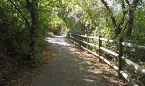 poudre river trail shaded area
